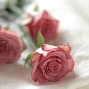 Meet your Posher, Sandy